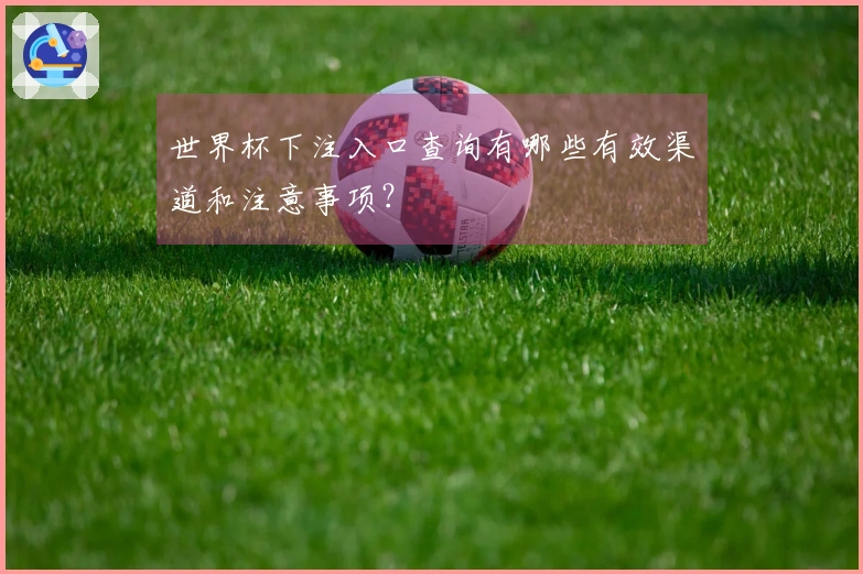 世界杯下注入口查询有哪些有效渠道和注意事项？