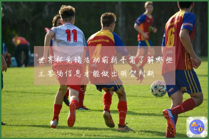 世界杯竞猜活动前新手需了解哪些主客场信息才能做出明智判断