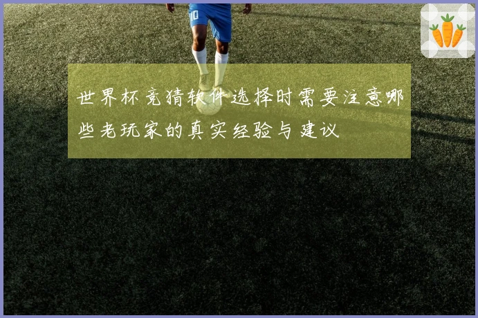 世界杯竞猜软件选择时需要注意哪些老玩家的真实经验与建议