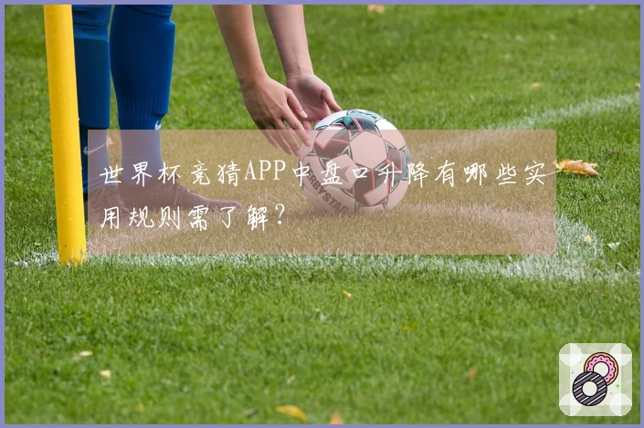 世界杯竞猜APP中盘口升降有哪些实用规则需了解？
