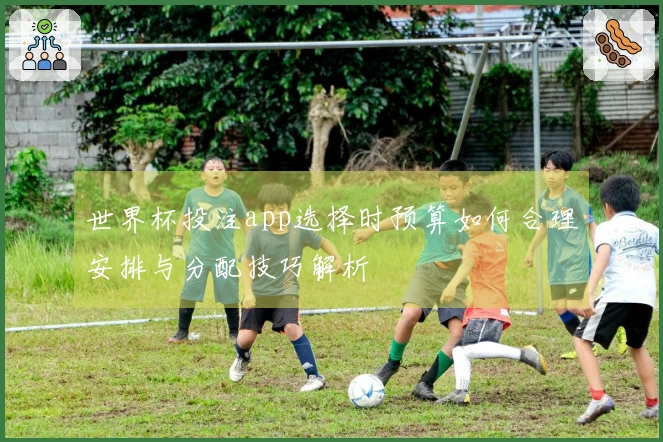 世界杯投注app选择时预算如何合理安排与分配技巧解析