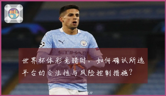 世界杯体彩竞猜时，如何确认所选平台的合法性与风险控制措施？