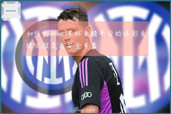 如何判断世界杯竞猜平台的体彩竞猜流程是否安全可靠