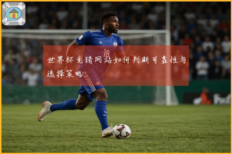世界杯竞猜网站如何判断可靠性与选择策略