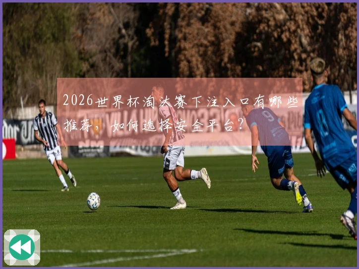 2026世界杯淘汰赛下注入口有哪些推荐，如何选择安全平台？