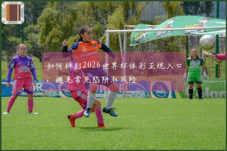 如何辨别2026世界杯体彩正规入口，避免常见陷阱和风险