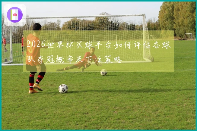2026世界杯买球平台如何评估各球队夺冠概率及下注策略