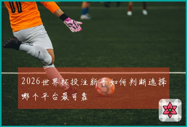 2026世界杯投注新手如何判断选择哪个平台最可靠