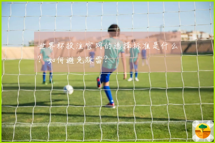 世界杯投注官网的选择标准是什么？如何避免踩雷？