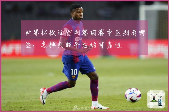世界杯投注官网赛前赛中区别有哪些，怎样判断平台的可靠性