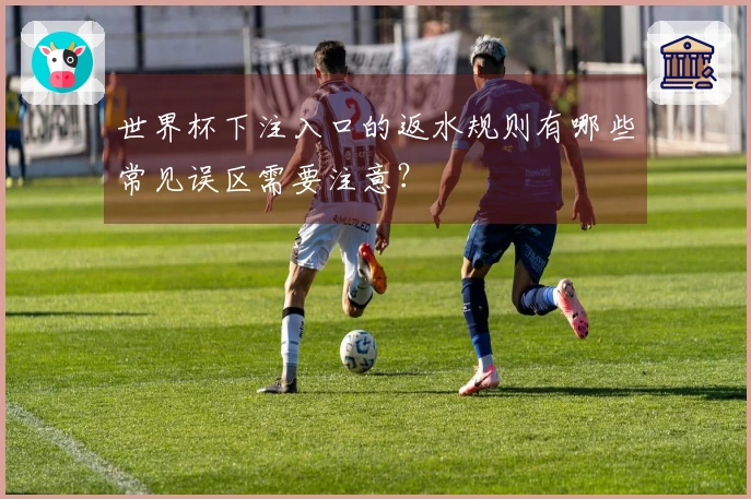 世界杯下注入口的返水规则有哪些常见误区需要注意？