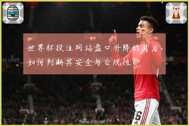 世界杯投注网站盘口升降的背后，如何判断其安全与合规性？