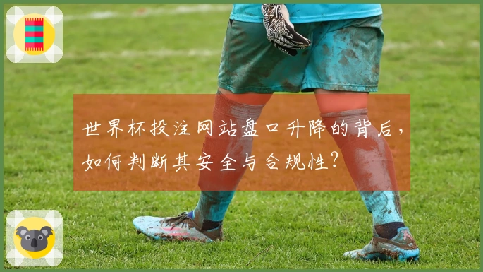 世界杯投注网站盘口升降的背后，如何判断其安全与合规性？