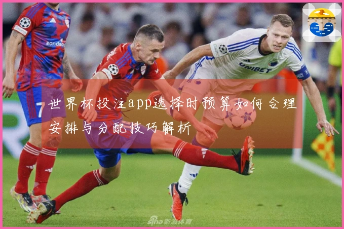世界杯投注app选择时预算如何合理安排与分配技巧解析