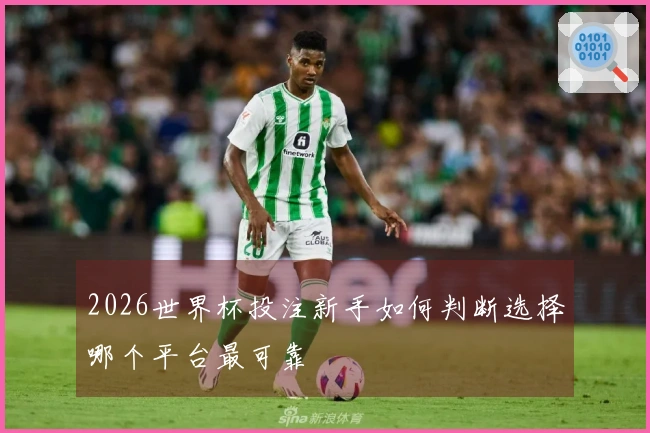 2026世界杯投注新手如何判断选择哪个平台最可靠