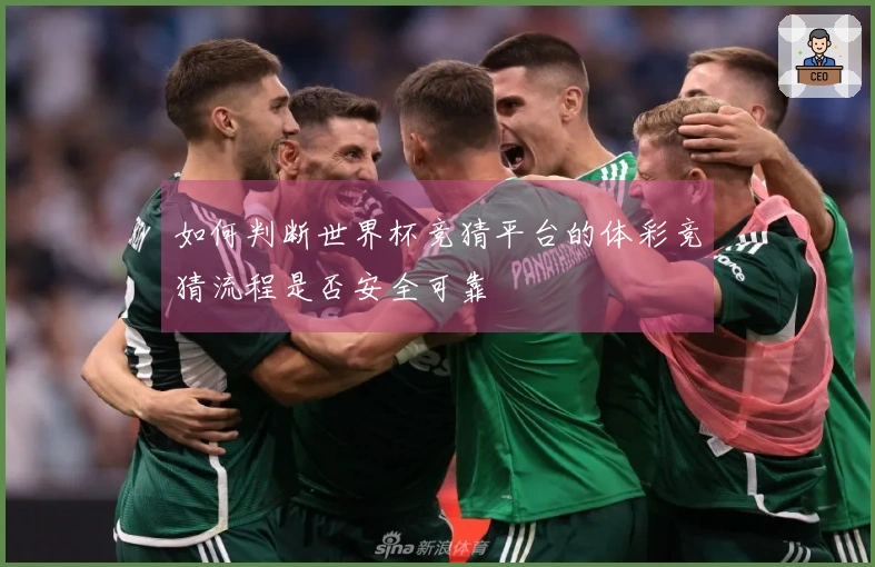 如何判断世界杯竞猜平台的体彩竞猜流程是否安全可靠
